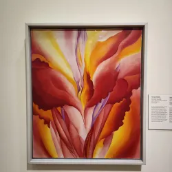 University of Arizona Museum of Art - Tucson