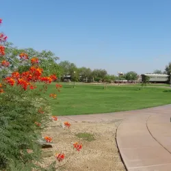 Colorado River State Historic Park - Yuma