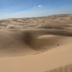 Imperial Sand Dunes Recreation Area - Yuma