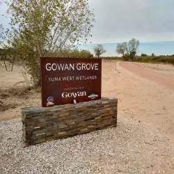 West Wetlands Park - Yuma