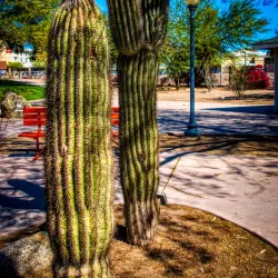 Yuma Quartermaster Depot State Historic Park - Yuma