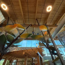 Scott Family Amazeum - Bentonville