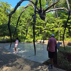 Slaughter Pen Mountain Bike Park - Bentonville