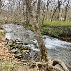 Slaughter Pen Mountain Bike Park - Bentonville