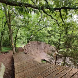 Slaughter Pen Trailhead - Bentonville