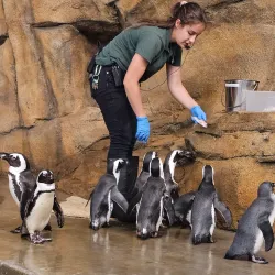 Dakota Zoo - Bismarck