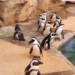 Dakota Zoo - Bismarck