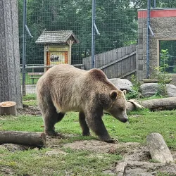 Dakota Zoo - Bismarck