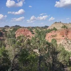 Teddy Roosevelt National Park (nearby) - Bismarck