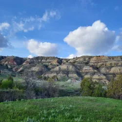 Teddy Roosevelt National Park (nearby) - Bismarck