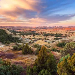 Teddy Roosevelt National Park (nearby) - Bismarck