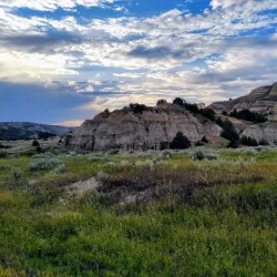 Teddy Roosevelt National Park (nearby) - Bismarck