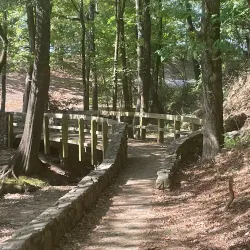 Cadron Settlement Park - Conway