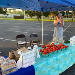 Conway Farmers Market - Conway