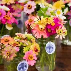 Conway Farmers Market - Conway