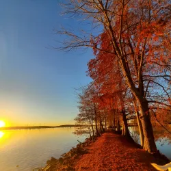 Lake Conway - Conway