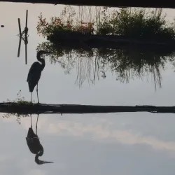 Lake Conway - Conway