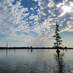 Lake Conway - Conway