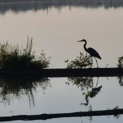 Lake Conway - Conway