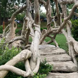 T.R. Pugh Memorial Park (The Old Mill) - Conway