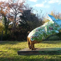 Clinton House Museum - Fayetteville