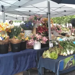 Fayetteville Farmers' Market - Fayetteville