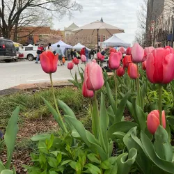 Fayetteville Farmers' Market - Fayetteville