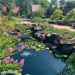 Lake Fayetteville Park - Fayetteville