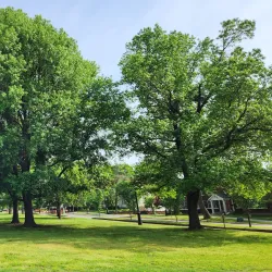 University of Arkansas Campus - Fayetteville