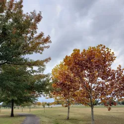 Ben Geren Park - Fort Smith