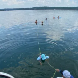 Bull Shoals Lake - Harrison