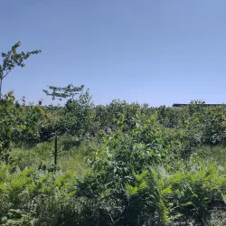 Harrison City Park - Harrison