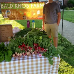 Harrison Farmers Market - Harrison