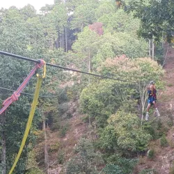 Ozark Mountain Ziplines - Harrison