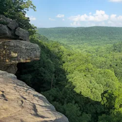 Ozark National Forest - Harrison