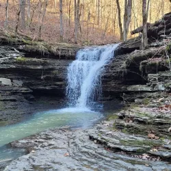 Ozark National Forest - Harrison