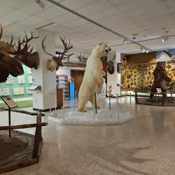 Ralph Foster Museum - Harrison