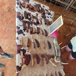 Hope Watermelon Festival - Hope