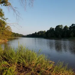 Millwood State Park (nearby) - Hope