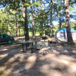 Millwood State Park (nearby) - Hope