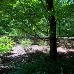 Anthony Chapel - Hot Springs