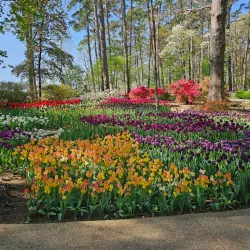 Garvan Woodland Gardens - Hot Springs