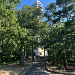Hot Springs Mountain Tower - Hot Springs