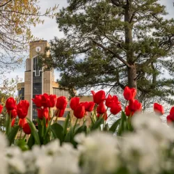 Arkansas State University - Jonesboro