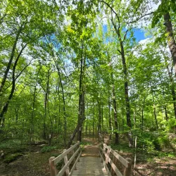 Craighead County Historical Museum - Jonesboro