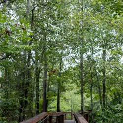 Crowley's Ridge Nature Center - Jonesboro