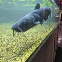 Crowley's Ridge Nature Center - Jonesboro