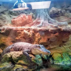 Crowley's Ridge Nature Center - Jonesboro