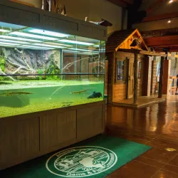 Crowley's Ridge Nature Center - Jonesboro