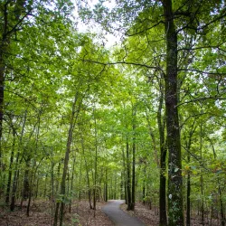 Crowley's Ridge Nature Center - Jonesboro